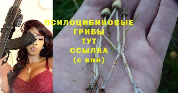 СК Верея
