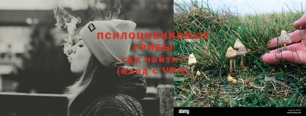 СК Верея