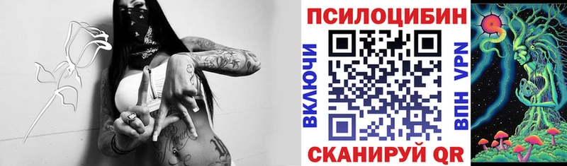 наркота Выкса Псилоцибиновые грибы ЛСД